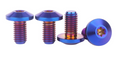 Titanium Super 73 Rear Dropout Bolts