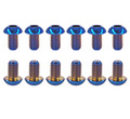 Titanium Rotor Bolts
